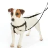 Dogs*2 Hounds Design - Freedom No-Pull Dog Harness - Pet Home | The Perfect Pet Supplies Shopping Experience