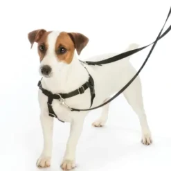 Dogs*2 Hounds Design - Freedom No-Pull Dog Harness - Pet Home | The Perfect Pet Supplies Shopping Experience