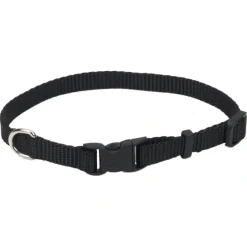 Shop All*Adjustable Dog Collar with Plastic Buckle, Black, Extra Small - 3/8" x 8"-12" - Pet Home | The Perfect Pet Supplies Shopping Experience