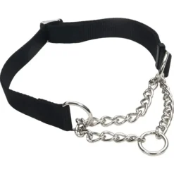 Dogs*Adjustable Training Collar for Dogs, Black, Large - 1" x 17"-24" - Pet Home | The Perfect Pet Supplies Shopping Experience