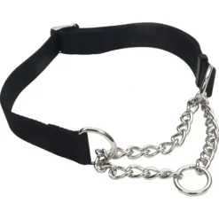 Dogs*Adjustable Training Collar for Dogs, Black, Small - 5/8" x 10"-14" - Pet Home | The Perfect Pet Supplies Shopping Experience