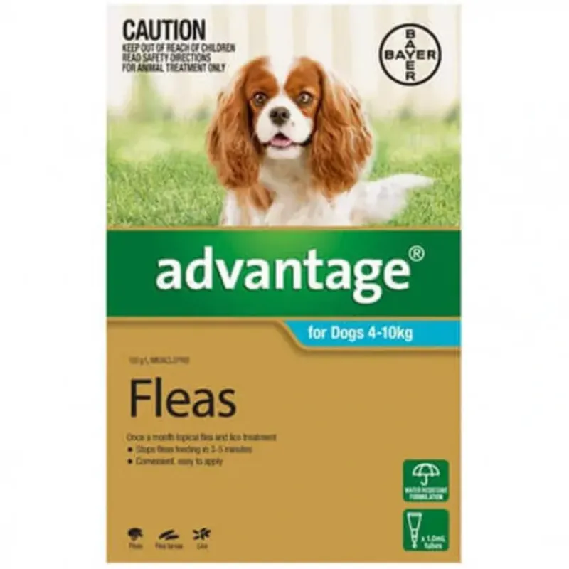 Dogs*Advantage Aqua Single dose pack for dogs 4-10kg - Pet Home | The Perfect Pet Supplies Shopping Experience