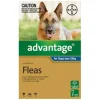 Dogs*Advantage Blue Single over 25kg Extra Large Dogs - Pet Home | The Perfect Pet Supplies Shopping Experience