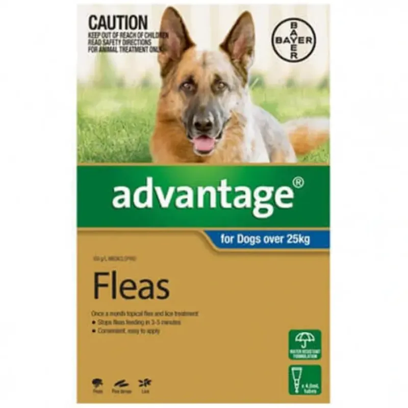 Dogs*Advantage Blue Single over 25kg Extra Large Dogs - Pet Home | The Perfect Pet Supplies Shopping Experience