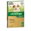 Dogs*Advantage Green 6pk Dogs up to 4kg - Pet Home | The Perfect Pet Supplies Shopping Experience