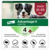 Dogs*Advantage II Large Dog Vet-Recommended Flea Treatment & Prevention - Pet Home | The Perfect Pet Supplies Shopping Experience