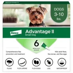 Dogs*Advantage II Small Dog Vet-Recommended Flea Treatment & Prevention - Pet Home | The Perfect Pet Supplies Shopping Experience
