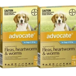 Dogs*Advocate Dog Aqua Medium for dogs 4-10kg 12pk - Pet Home | The Perfect Pet Supplies Shopping Experience