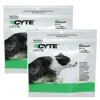Dogs*4Cyte Canine 100g x 2 Joint Support for dogs - Pet Home | The Perfect Pet Supplies Shopping Experience