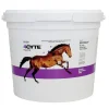 Dogs*4Cyte Equine 3.5kg Joint Supplement For Horses - Pet Home | The Perfect Pet Supplies Shopping Experience