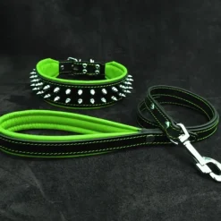 Dogs*"Frenchie" Set- collar & leash. Green - Pet Home | The Perfect Pet Supplies Shopping Experience