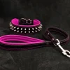 Dogs*"Frenchie" Set- collar & leash. Pink - Pet Home | The Perfect Pet Supplies Shopping Experience