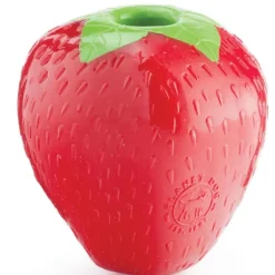 Pet Toys|Orbee-Tuff Strawberry Treat-Dispensing Dog Chew Toy (Pink) - Pet Home | The Perfect Pet Supplies Shopping Experience