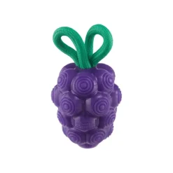 Pet Toys|Outward Hound - Dental Grapes Dental Chew Toy and Interactive Treat Stuffer Dog Toy - Pet Home | The Perfect Pet Supplies Shopping Experience