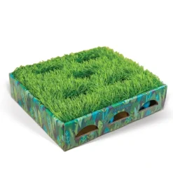 Pet Toys|Outward Hound - Grass Patch Hunting Box Cat Toy - Pet Home | The Perfect Pet Supplies Shopping Experience