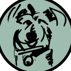 Shop Paddy's Pet Supplements; Dog & Cat - Pet Home | The Perfect Pet Supplies Shopping Experience Cats