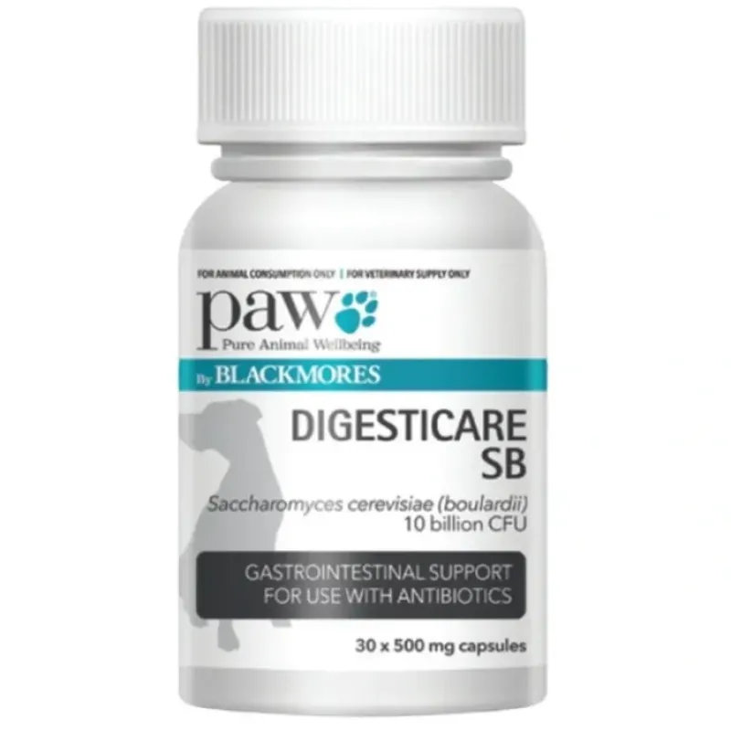 Online Paw Digesticare SB 30 x 500mg - Pet Home | The Perfect Pet Supplies Shopping Experience Dogs