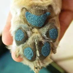 Shop Paw Friction Paw Pad Traction - Pet Home | The Perfect Pet Supplies Shopping Experience Dogs