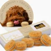 Cheap Peanut Butter Dog Macarons - Pet Home | The Perfect Pet Supplies Shopping Experience Dogs