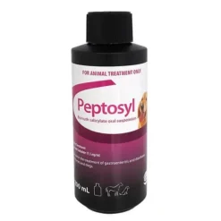 Discount Peptosyl 200ml - Pet Home | The Perfect Pet Supplies Shopping Experience Dogs