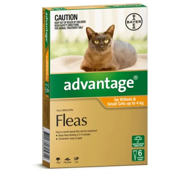 Outlet Pet Shop Direct - Advantage Kittens & Small Cats Upto 4kg 6 Pack - Pet Home | The Perfect Pet Supplies Shopping Experience Cats