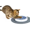 Best Pet Shop Direct - Catit Design Senses Scratch Pad - Pet Home | The Perfect Pet Supplies Shopping Experience Shop All