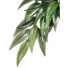 Best Sale Pet Shop Direct - Exo Terra Silk Plant Ruscus Medium - Pet Home | The Perfect Pet Supplies Shopping Experience Shop All