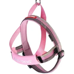 Store Pet Shop Direct - Ezy Dog Quick Fit Harness Candy Large - Pet Home | The Perfect Pet Supplies Shopping Experience Shop All