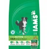 Best Sale Pet Shop Direct - Iams ProActive Health Adult Small & Medium Breed 3kg - Pet Home | The Perfect Pet Supplies Shopping Experience Shop All