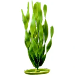 Store Pet Shop Direct - Marina Aquascaper Plastic Plant Jungle Vallisneria 30cm - Pet Home | The Perfect Pet Supplies Shopping Experience Shop All
