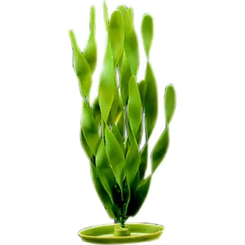 Store Pet Shop Direct - Marina Aquascaper Plastic Plant Jungle Vallisneria 30cm - Pet Home | The Perfect Pet Supplies Shopping Experience Shop All