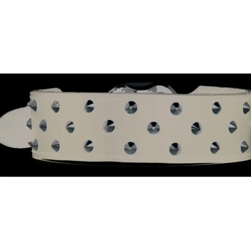 New Pet Shop Direct - PetLife Leather Staffy Collar Black Extra Large 60cm - Pet Home | The Perfect Pet Supplies Shopping Experience Dogs