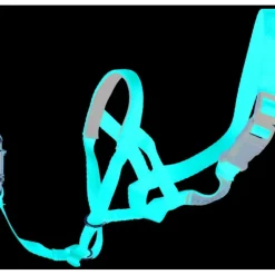 Best Pet Shop Direct - PetLife Halti Head Collar Red XLarge - Pet Home | The Perfect Pet Supplies Shopping Experience Pet Toys