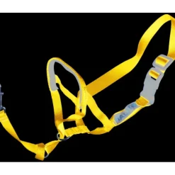 Fashion Pet Shop Direct - PetLife Halti Head Collar Blue XSmall - Pet Home | The Perfect Pet Supplies Shopping Experience Dogs