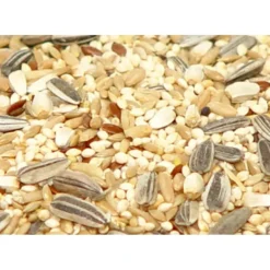 Best Pet Shop Direct - Premium Bird Seed Parrot Mix 3kg - Pet Home | The Perfect Pet Supplies Shopping Experience Shop All