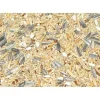 Best Pet Shop Direct - Premium Bird Seed Cockatiel Mix 1kg - Pet Home | The Perfect Pet Supplies Shopping Experience Shop All