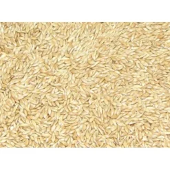Store Pet Shop Direct - Premium Bird Seed Plain Canary Seed 3kg - Pet Home | The Perfect Pet Supplies Shopping Experience Shop All