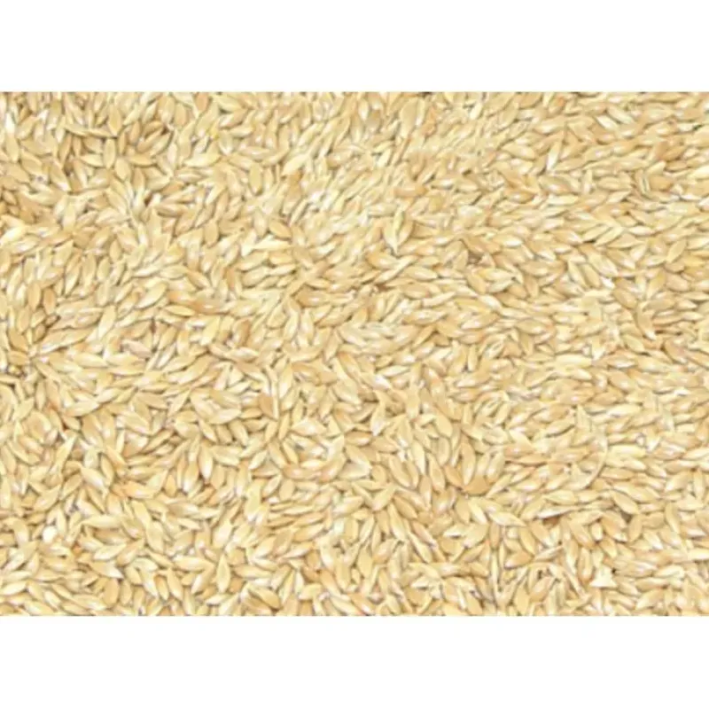 Store Pet Shop Direct - Premium Bird Seed Plain Canary Seed 3kg - Pet Home | The Perfect Pet Supplies Shopping Experience Shop All