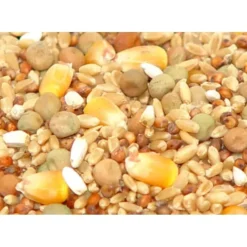 Store Pet Shop Direct - Premium Bird Seed Pigeon Mix 3kg - Pet Home | The Perfect Pet Supplies Shopping Experience Shop All