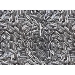 Store Pet Shop Direct - Premium Bird Seed Grey Stripe Sunflower Seed 3kg - Pet Home | The Perfect Pet Supplies Shopping Experience Shop All