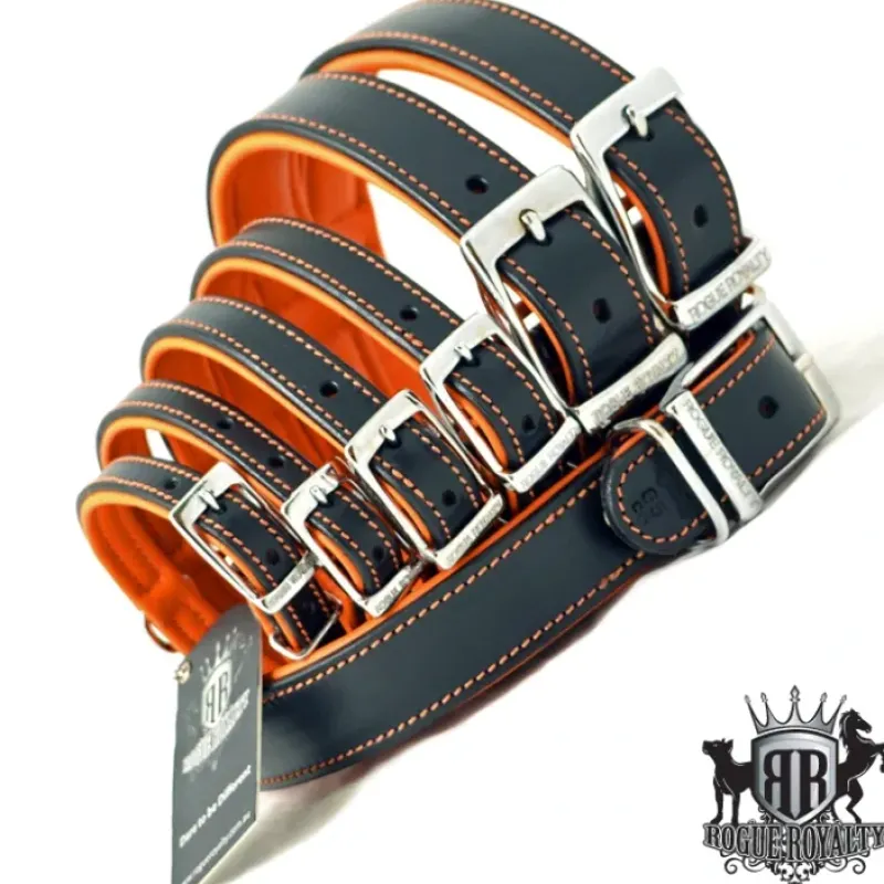 Best Pet Shop Direct - Rogue Royalty Tuscan Rogue Leather Black/Orange Dog Collar 55cm L - Pet Home | The Perfect Pet Supplies Shopping Experience Shop All