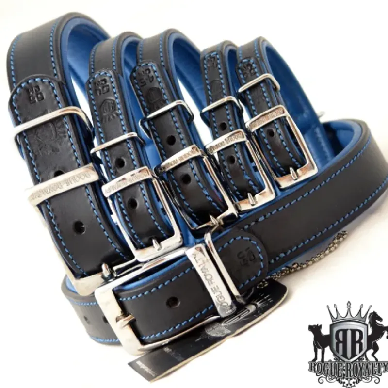 Best Pet Shop Direct - Rogue Royalty Tuscan Rogue Leather Black/Blue Dog Collar 50cm M - Pet Home | The Perfect Pet Supplies Shopping Experience Shop All