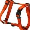 Outlet Pet Shop Direct - Rogz Fanbelt H Harness Large Orange - Pet Home | The Perfect Pet Supplies Shopping Experience Dogs