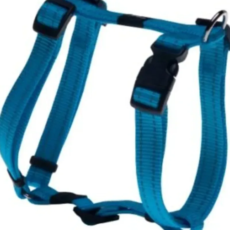 Online Pet Shop Direct - Rogz Fanbelt H Harness Large Turquoise - Pet Home | The Perfect Pet Supplies Shopping Experience Dogs