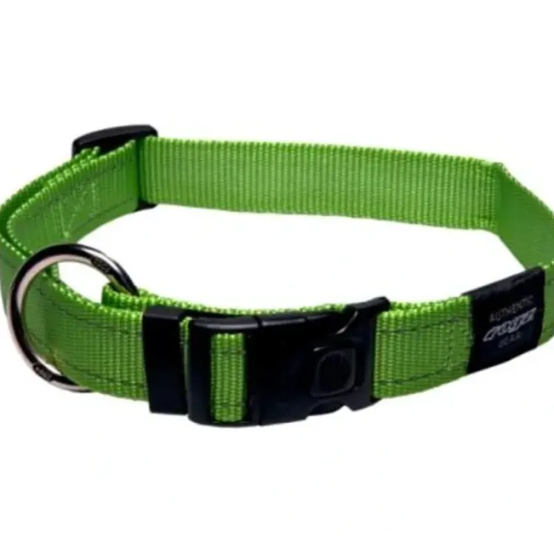 Best Pet Shop Direct - Rogz Fanbelt Collar Large Lime - Pet Home | The Perfect Pet Supplies Shopping Experience Shop All