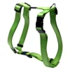 New Pet Shop Direct - Rogz Lumberjack H Harness X-Large Lime - Pet Home | The Perfect Pet Supplies Shopping Experience Dogs