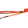 Store Pet Shop Direct - Rogz Nitelife Lead Small Orange - Pet Home | The Perfect Pet Supplies Shopping Experience Dogs