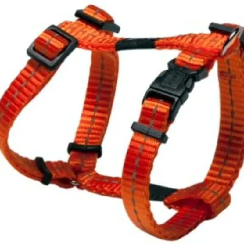Online Pet Shop Direct - Rogz Nitelife H Harness Small Orange - Pet Home | The Perfect Pet Supplies Shopping Experience Dogs