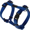 Online Pet Shop Direct - Rogz Nitelife H Harness Small Blue - Pet Home | The Perfect Pet Supplies Shopping Experience Dogs