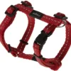 Online Pet Shop Direct - Rogz Nitelife H Harness Small Red - Pet Home | The Perfect Pet Supplies Shopping Experience Dogs